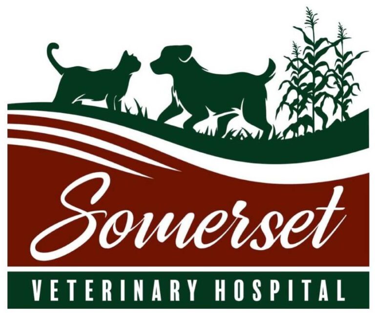 Veterinarian in Ames, IA Somerset Veterinary Hospital