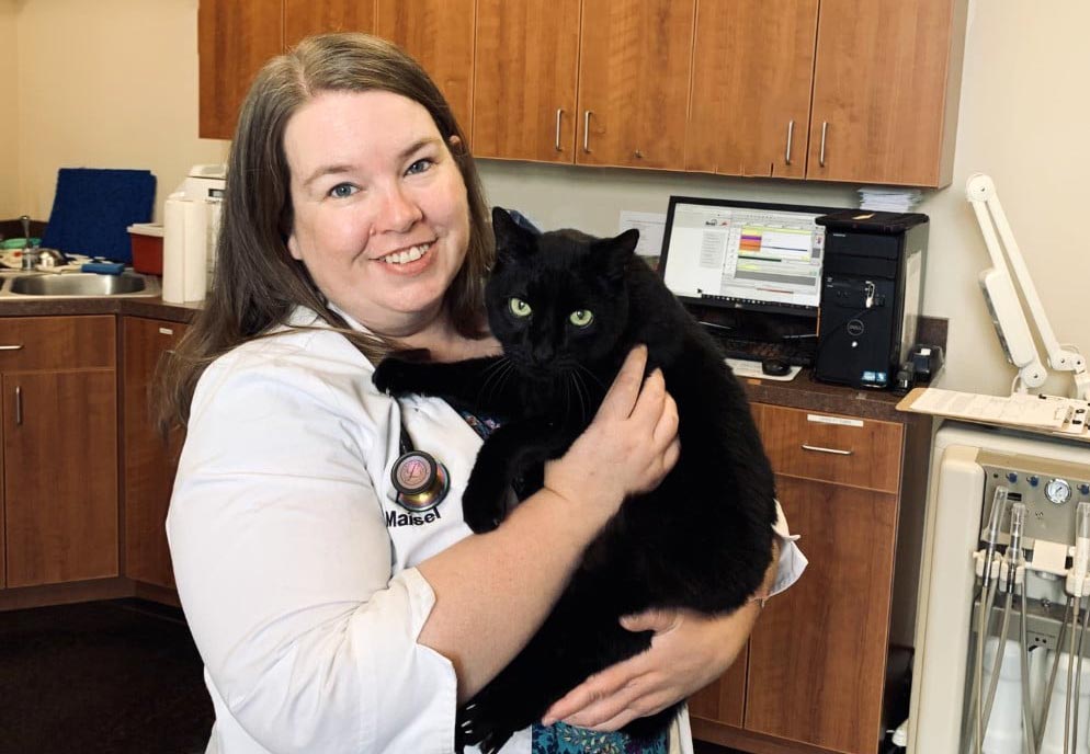 Doctor Holding Black Cat
