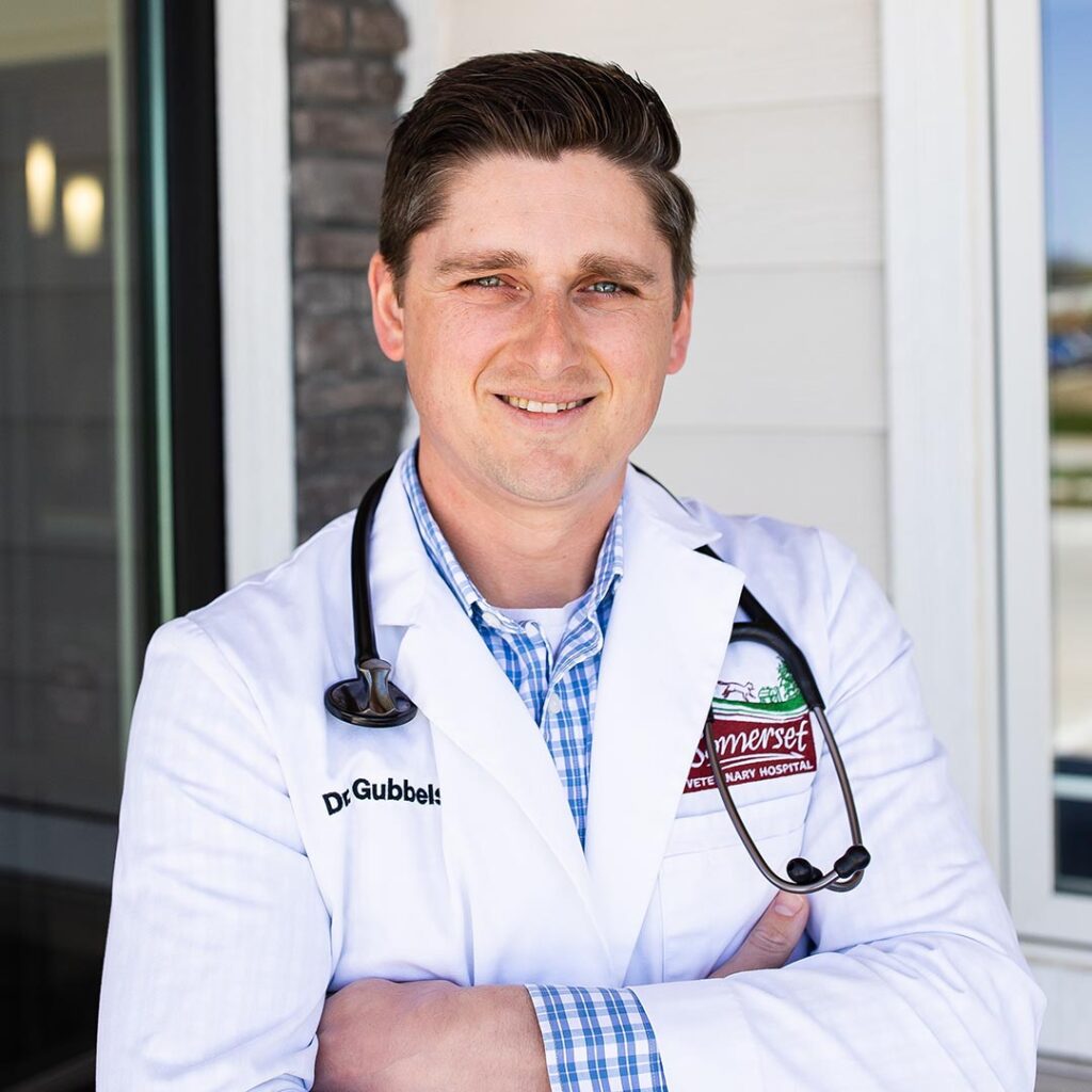 Dr. Chad Gubbels