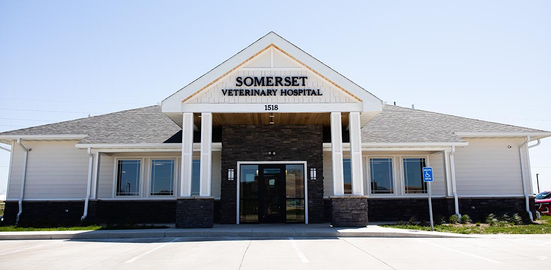 Somerset Veterinary Hospital