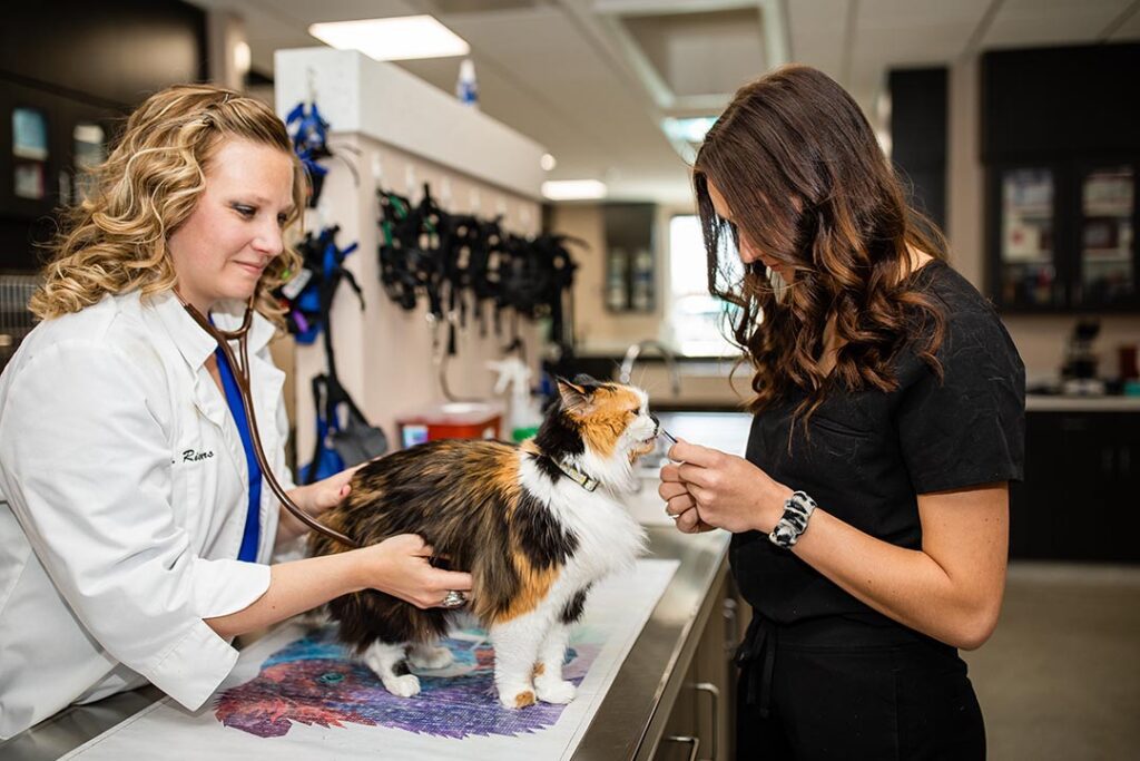 Review Us in Ames, IA Somerset Veterinary Hospital