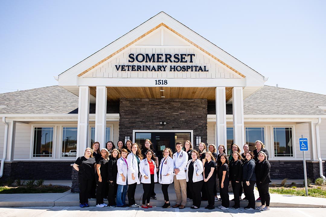 veterinary staff at somerset